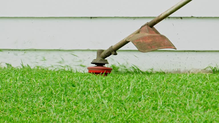 Best Storm Damage Tree Cleanup  in Lake Waynoka, OH